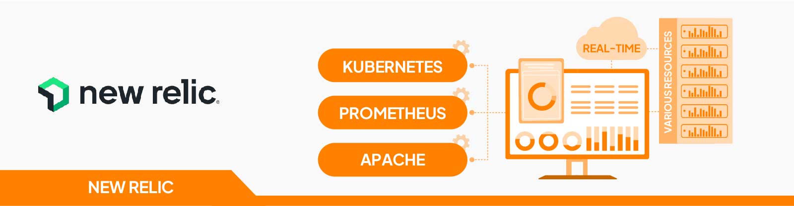 Dynatrace Cloud Monitoring Tools
