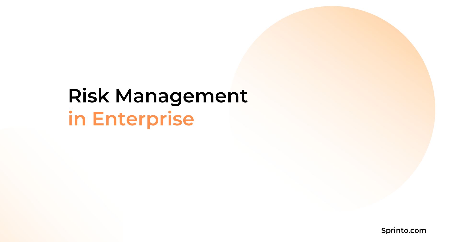 Risk Management in Enterprise