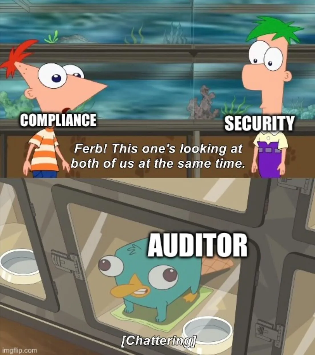 auditor