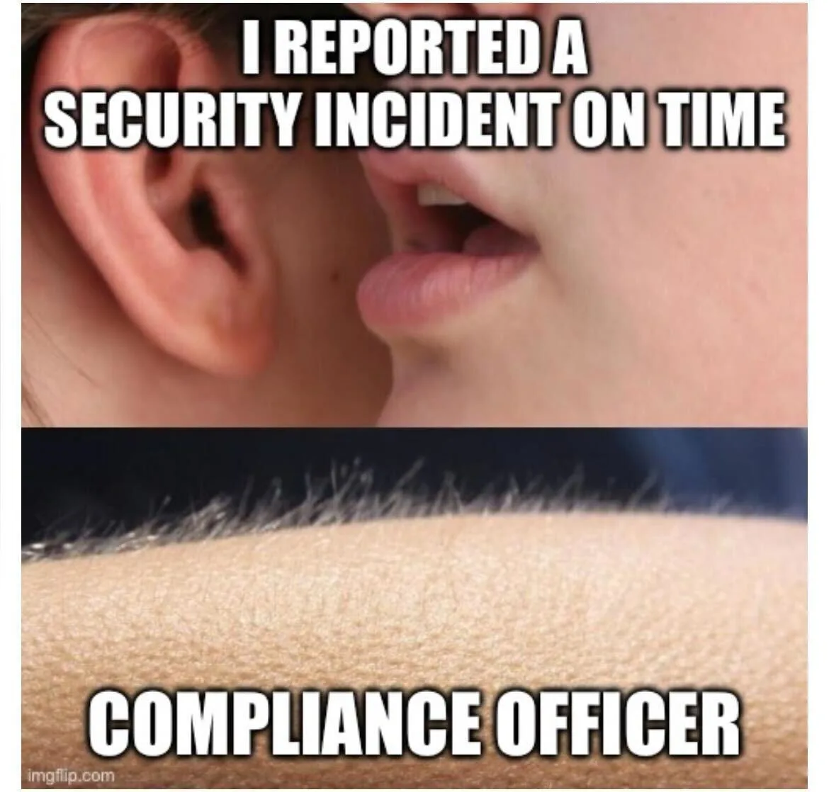 compliance-officer