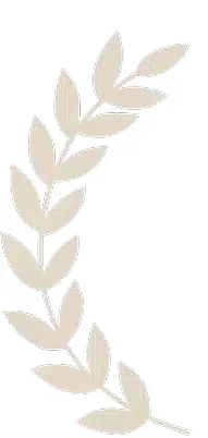 comparison-page-sec-2-img1