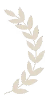 comparison-page-sec-2-img2