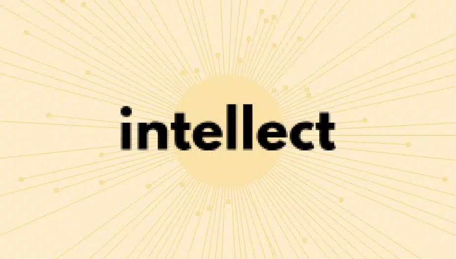 intellect-case-studien-logo