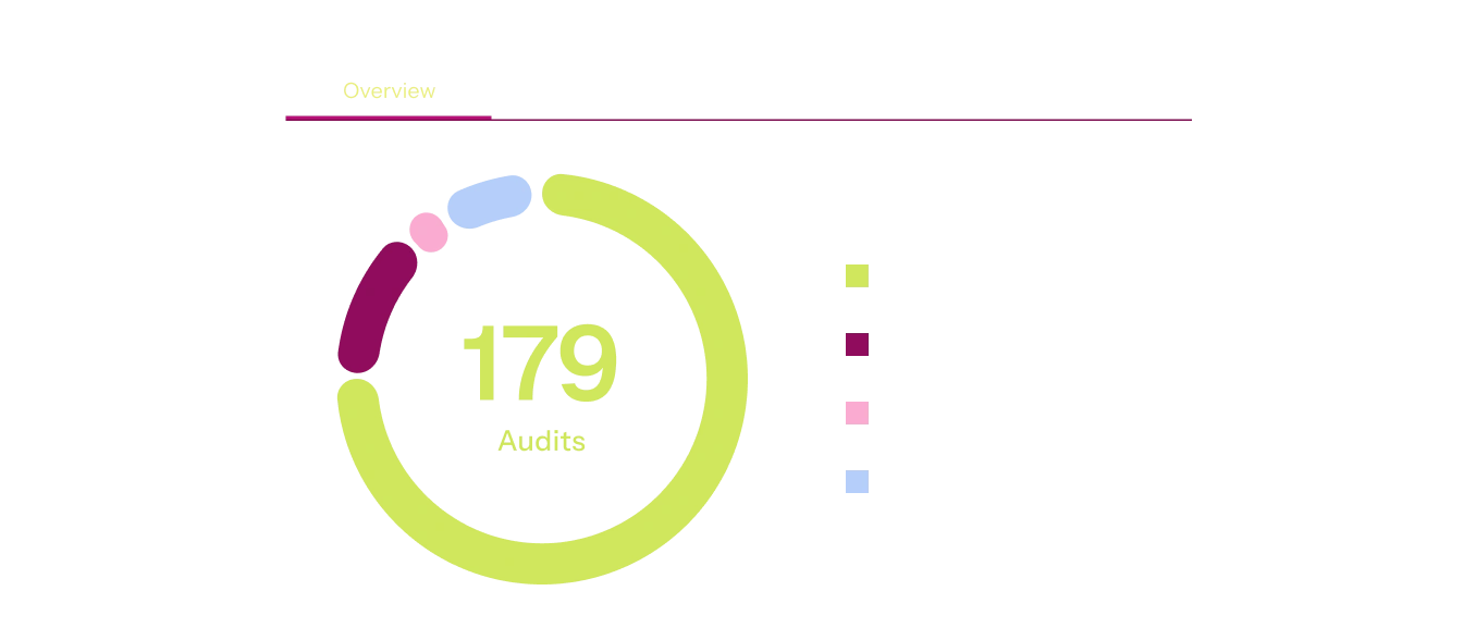 audit-dashboard-pic