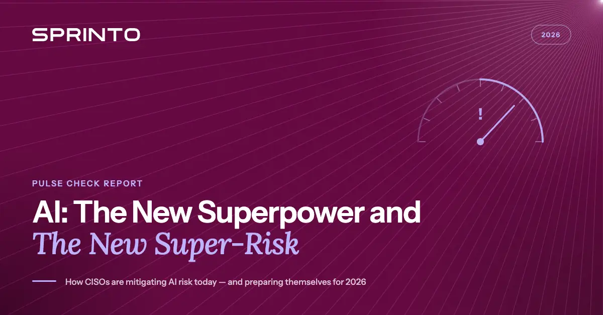 ciso pulse check-ai risk