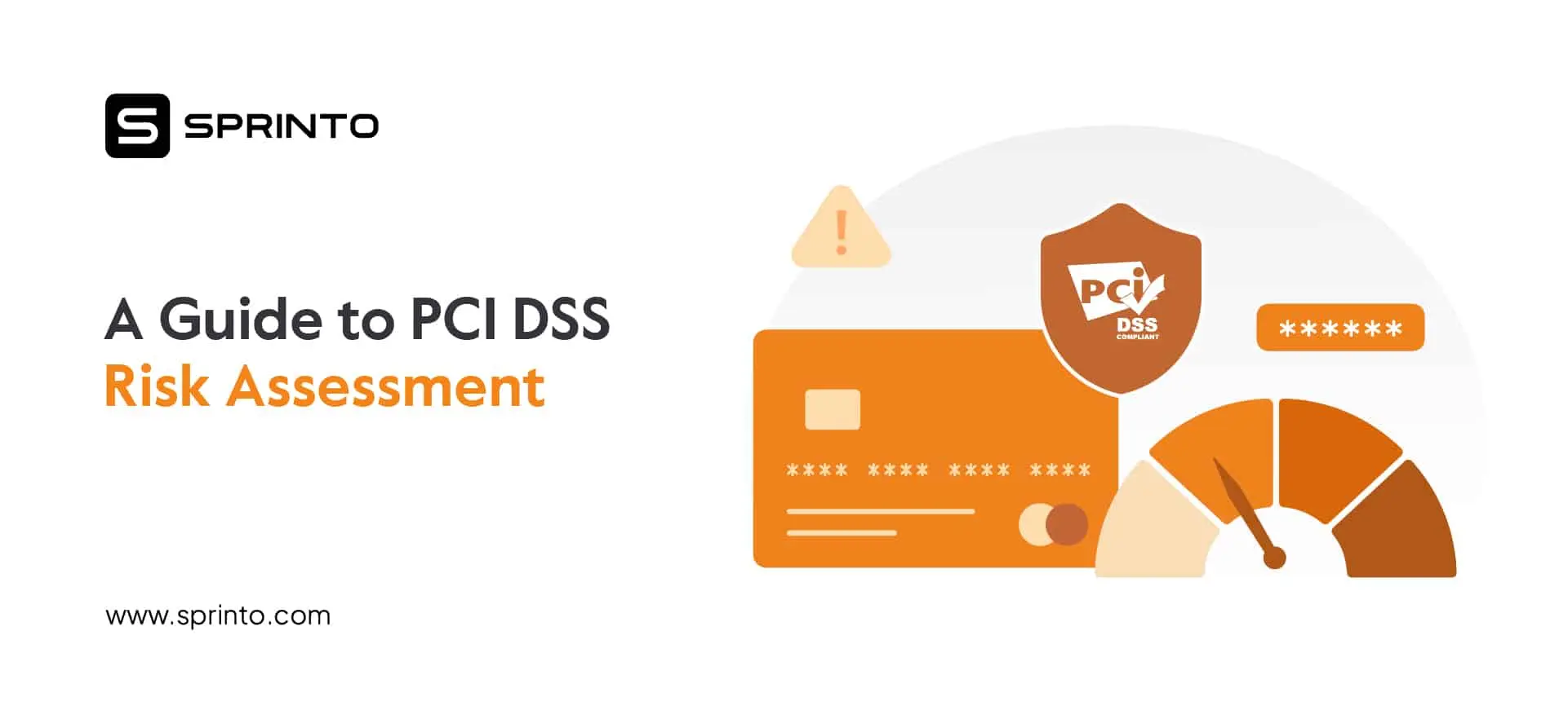 PCI DSS Risk Assessment Guide